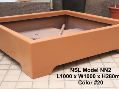 NSL Model NN2